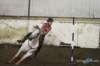 img_6175egasunstakes_small.jpg