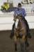img_4159egasat_small.jpg